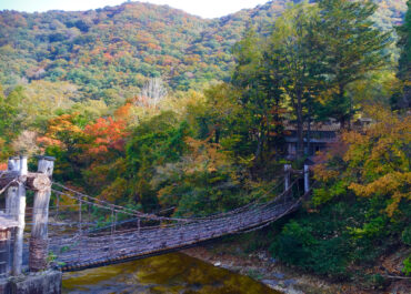 湯西川温泉の紅葉　本家伴久のかずら橋
