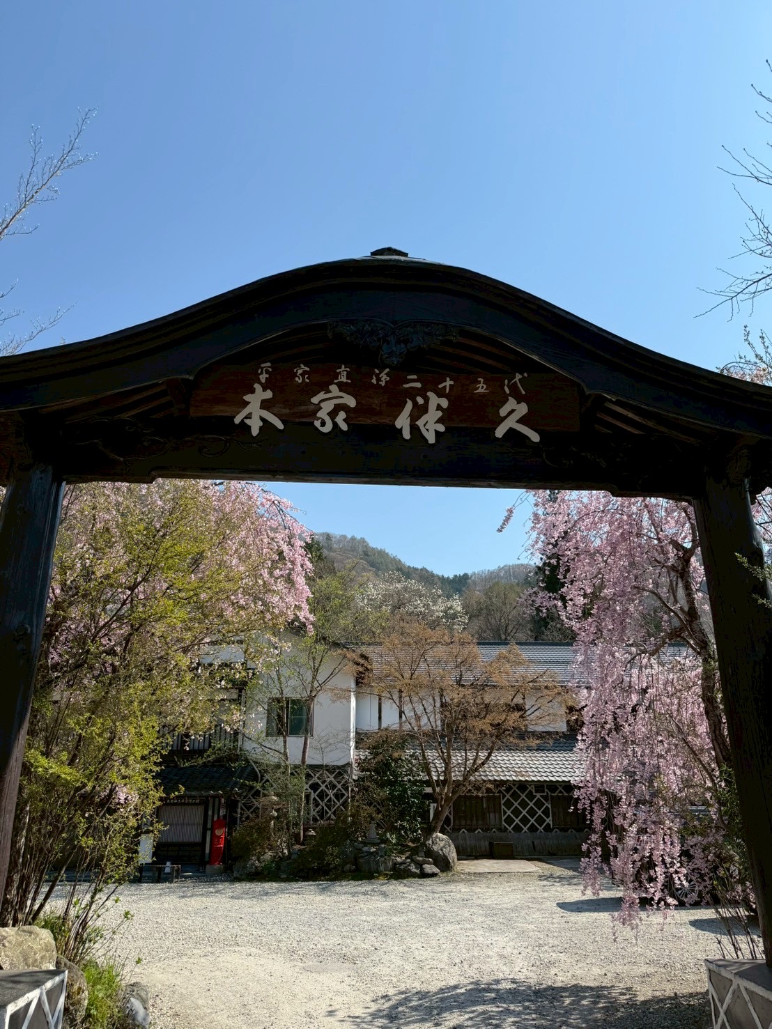 湯西川温泉　本家伴久の桜
