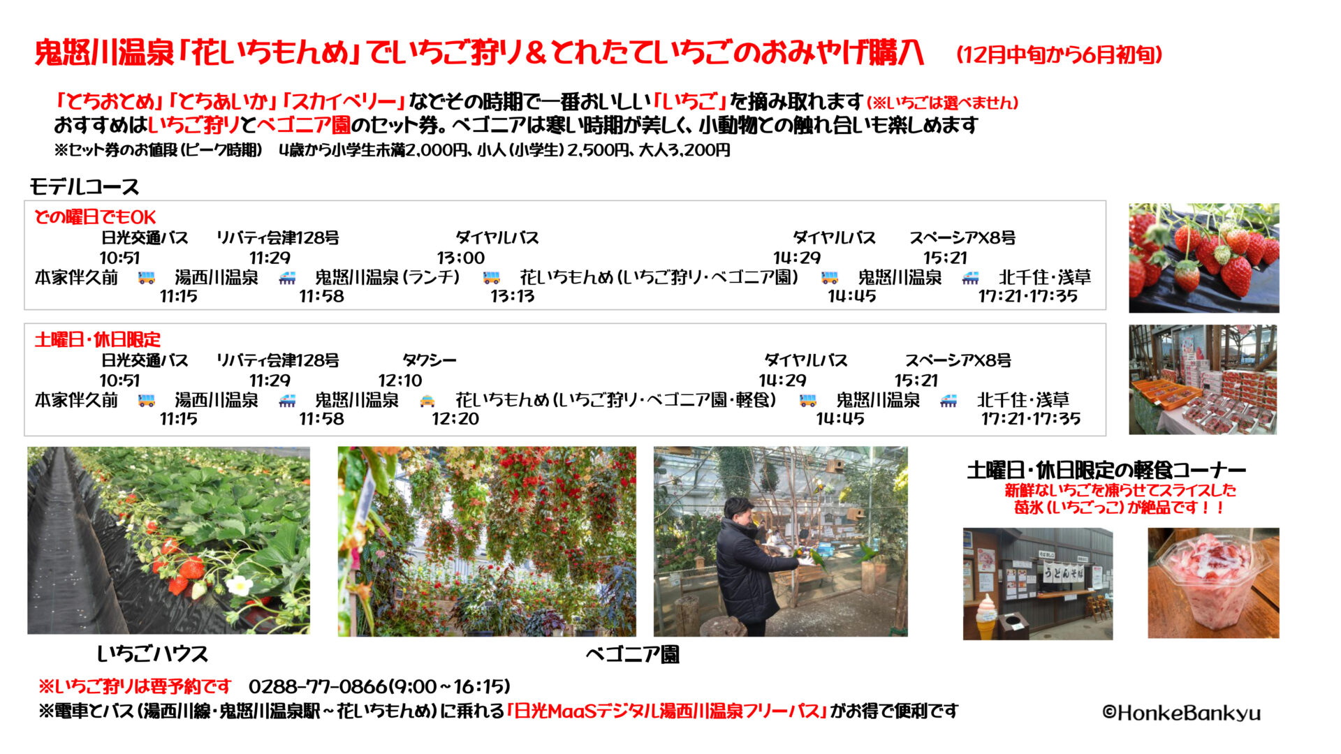 日光花いちもんめ