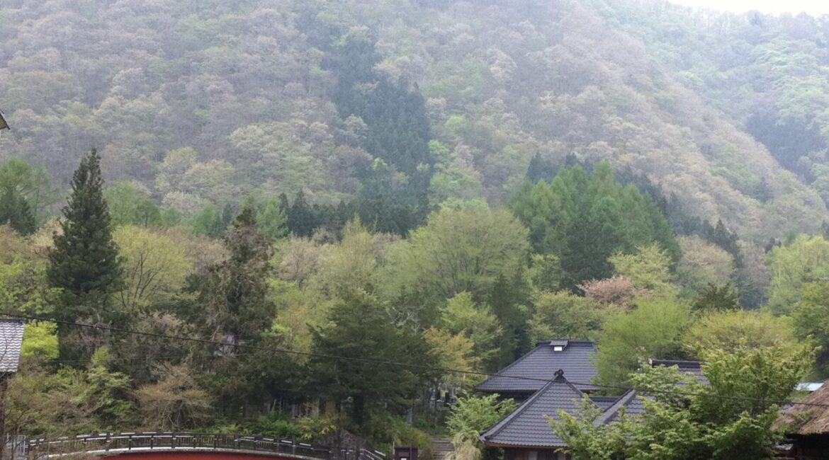 春の湯西川温泉
